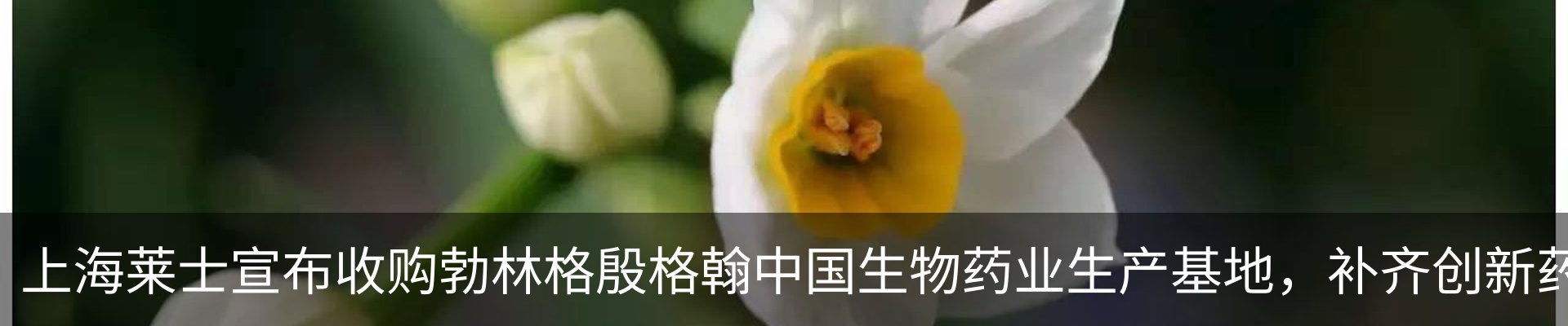 最新动态