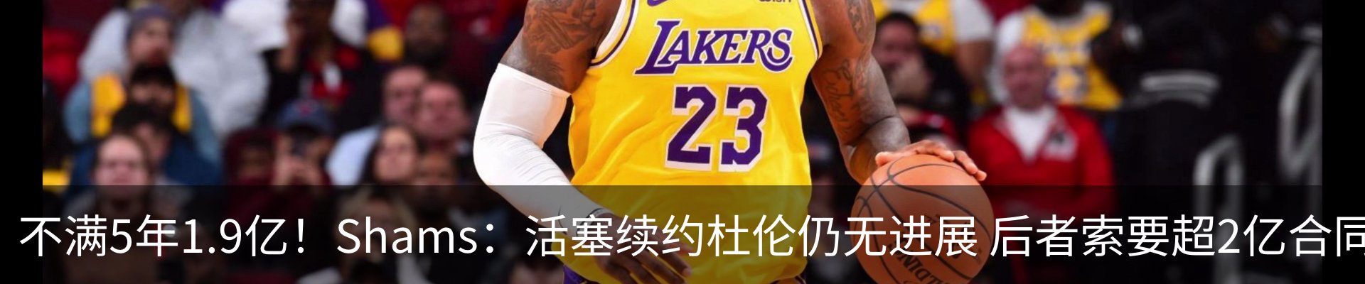 最新动态