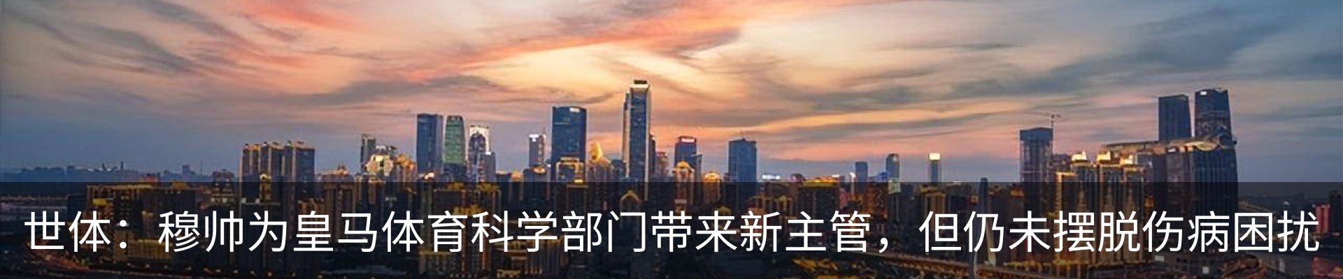 最新动态
