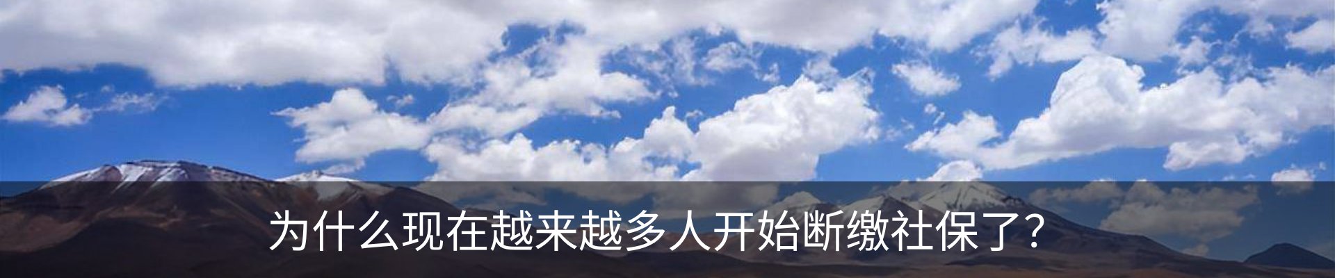 最新动态