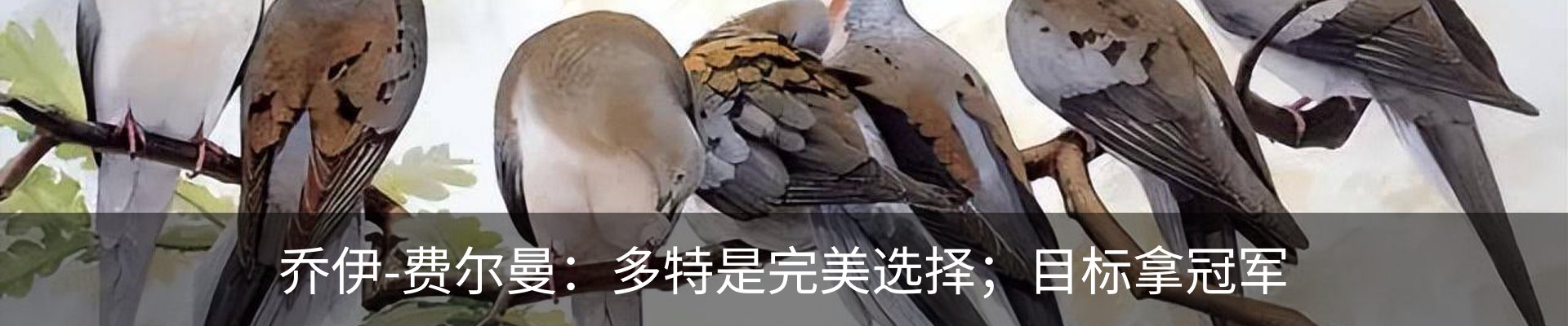 最新动态
