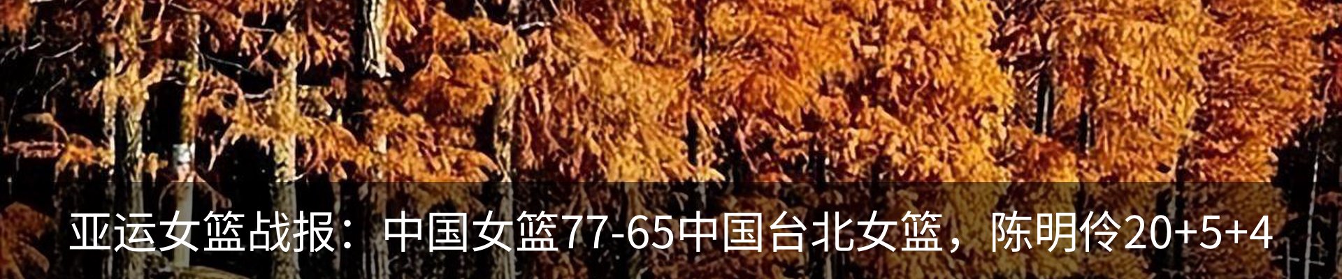 最新动态