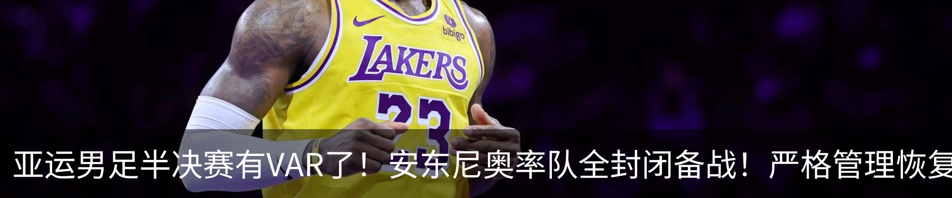最新动态