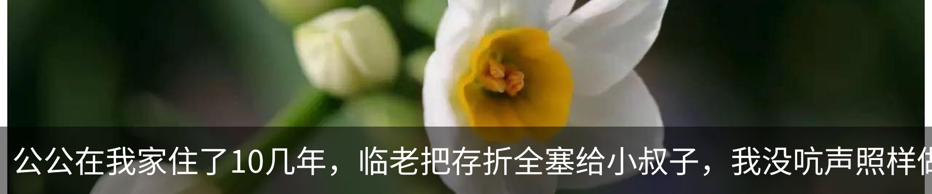 最新动态