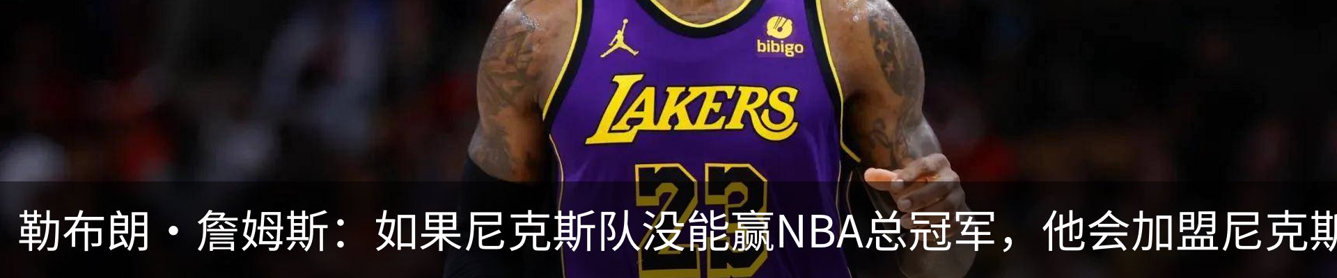 最新动态
