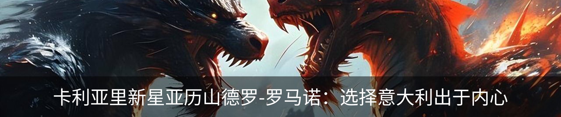最新动态