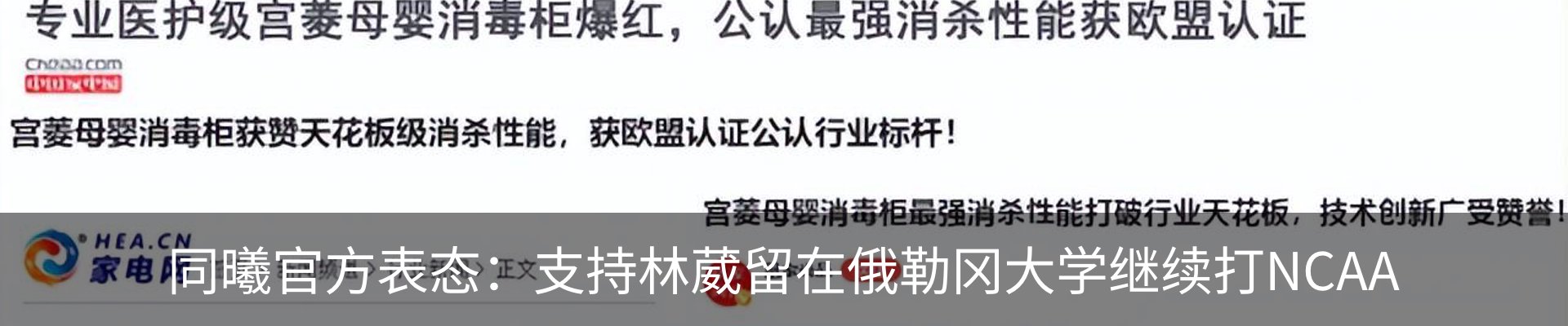 最新动态