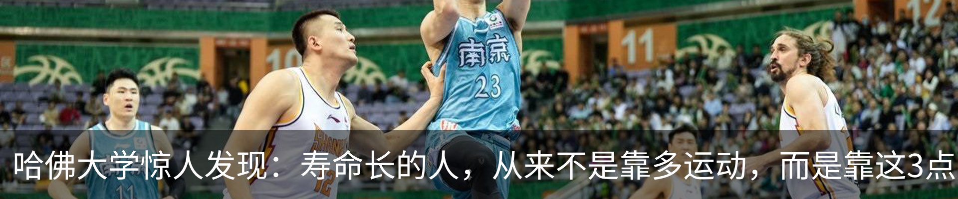 最新动态