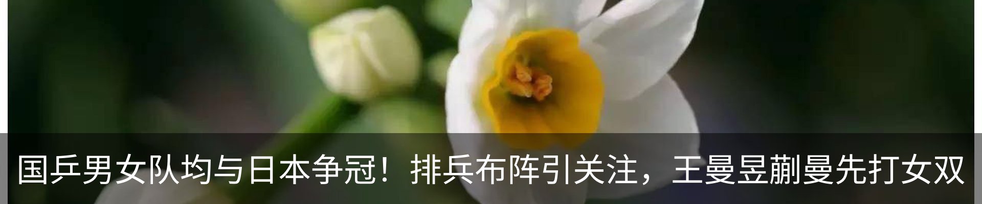 最新动态