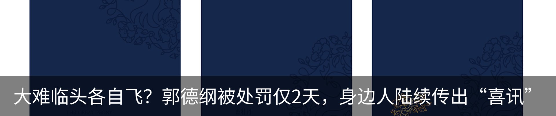 最新动态