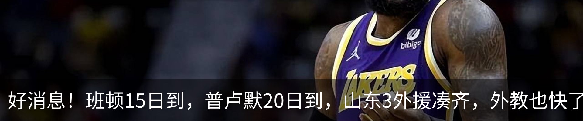 最新动态