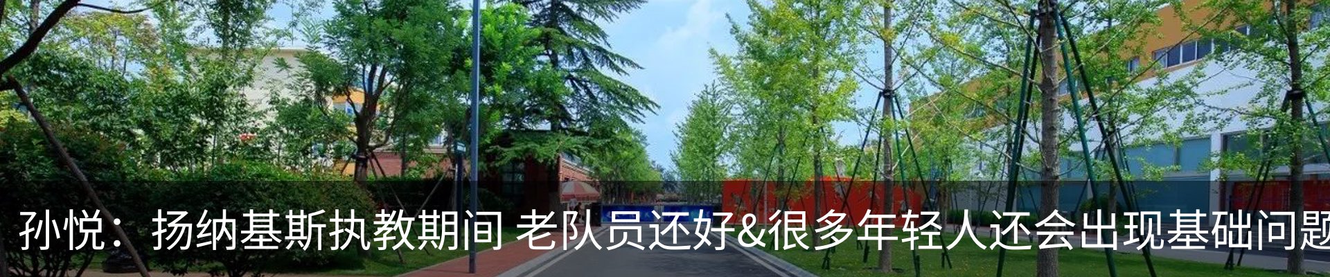 最新动态
