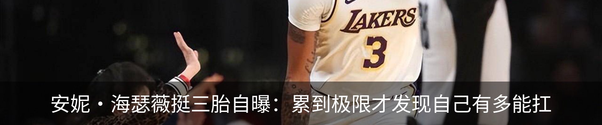 最新动态