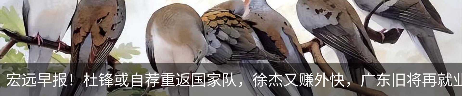 最新动态