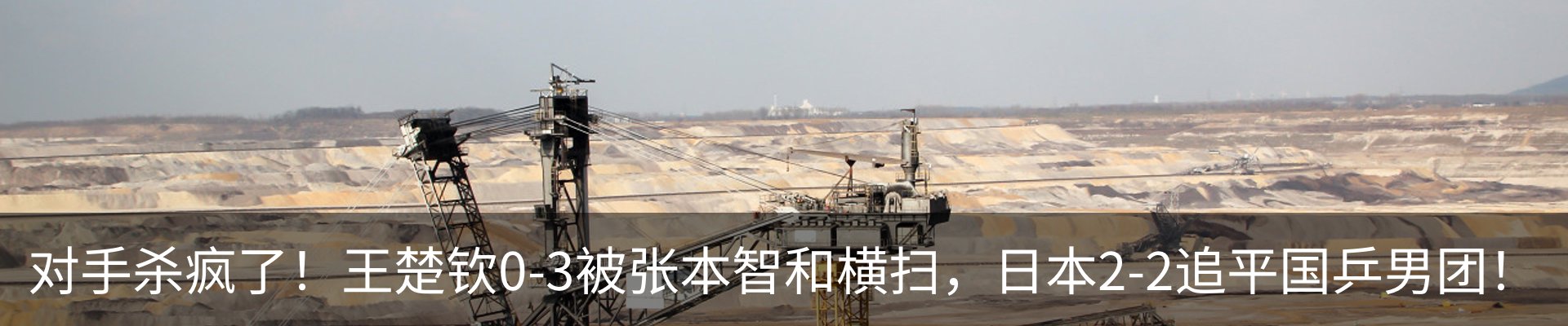 最新动态