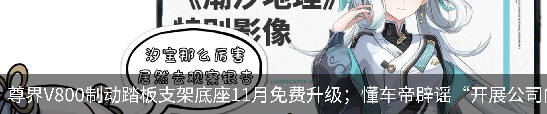 最新动态