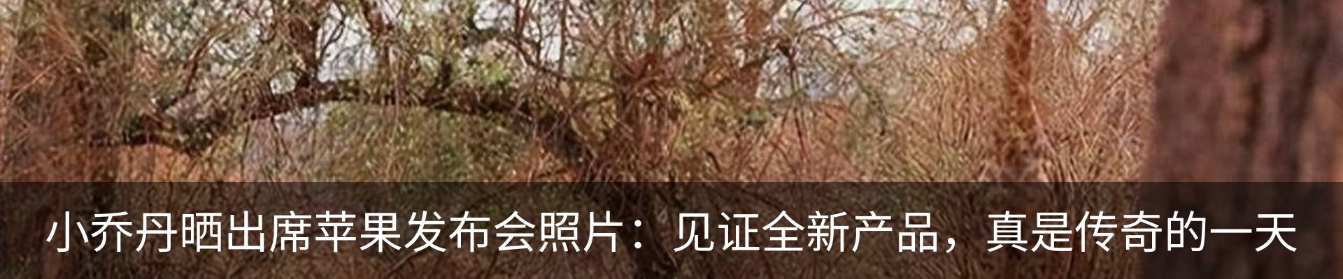 最新动态