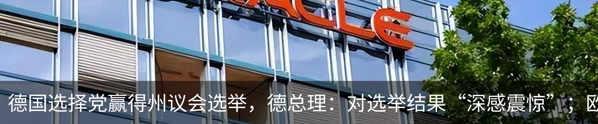 最新动态