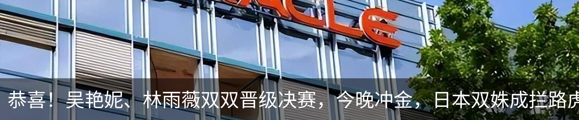最新动态
