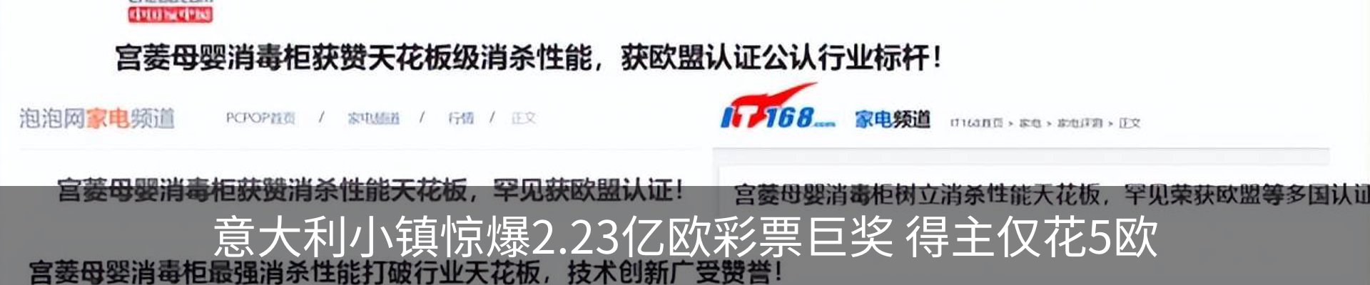 最新动态