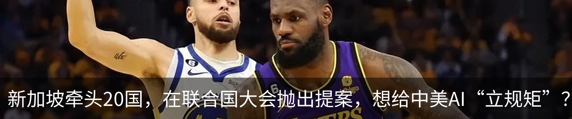 最新动态