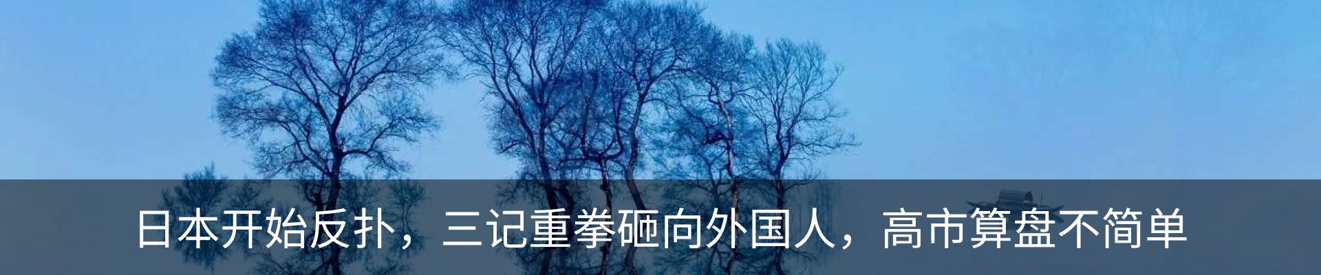 最新动态