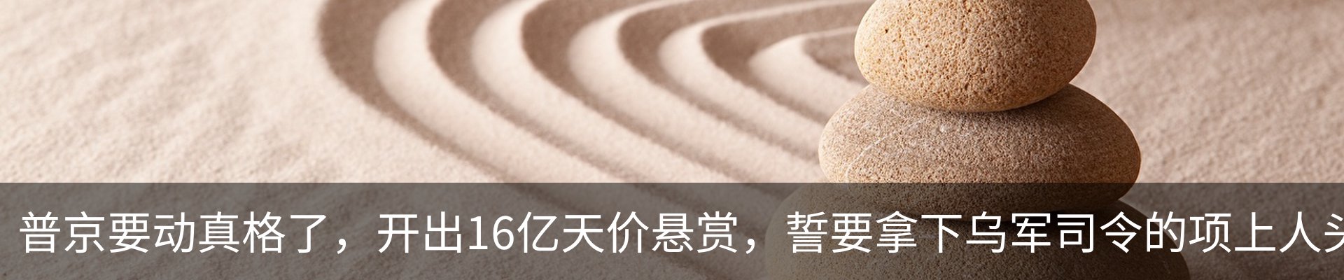 最新动态