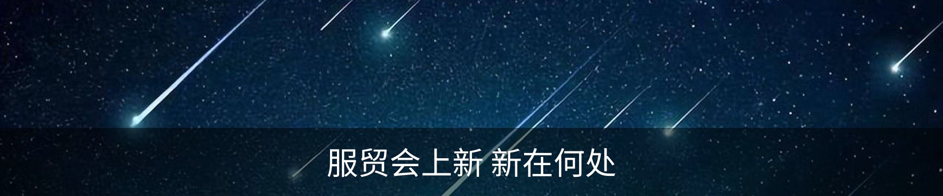 最新动态
