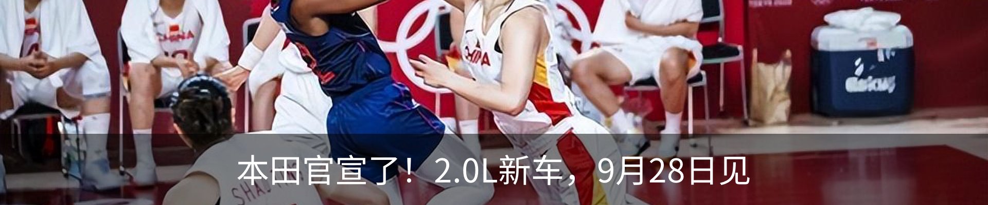 最新动态