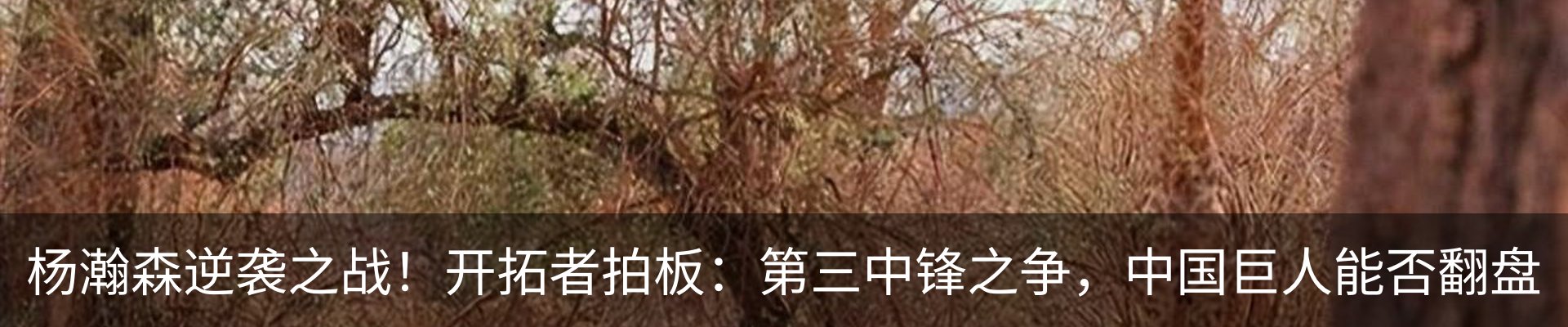 最新动态