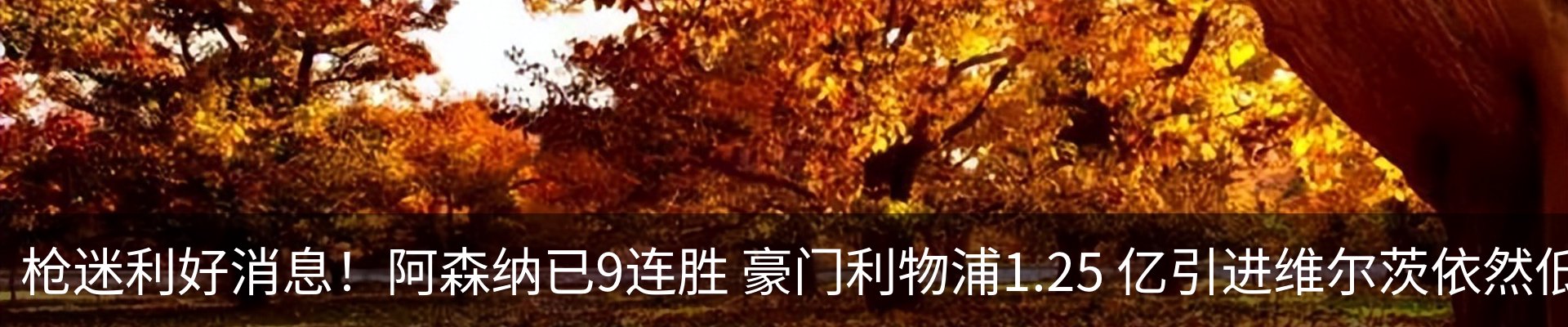 最新动态