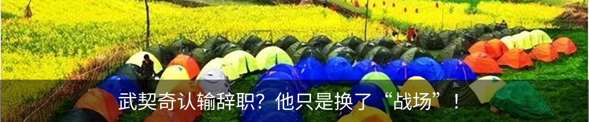 最新动态