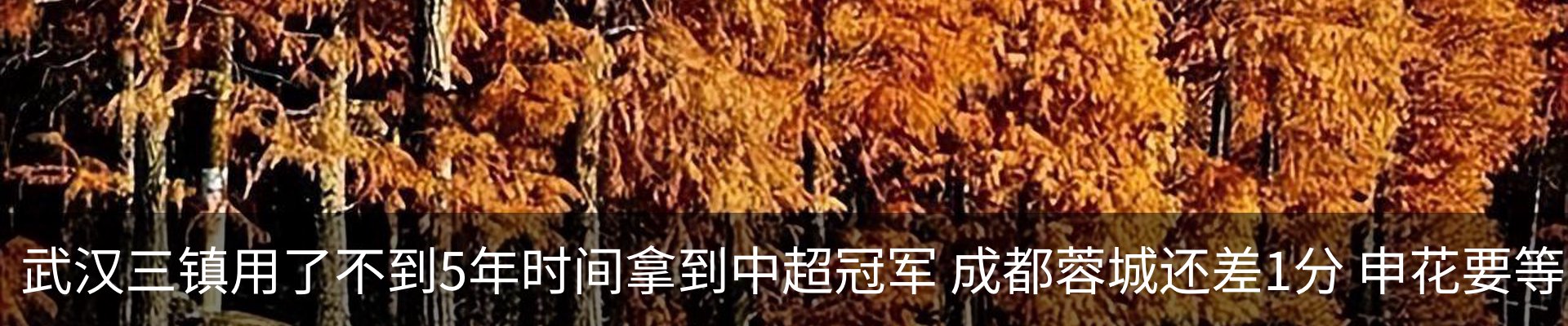 最新动态