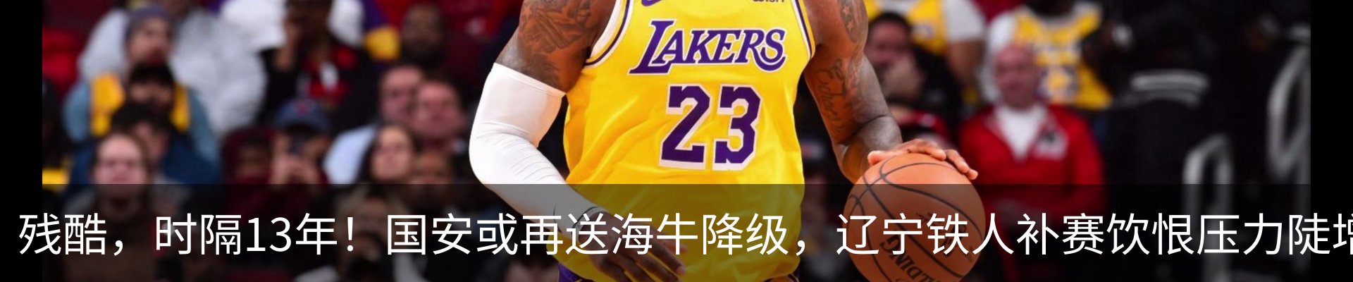 最新动态