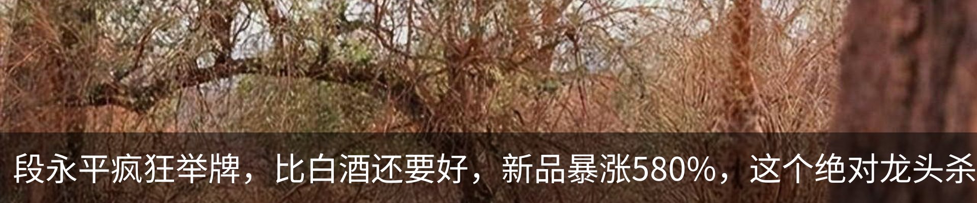 最新动态