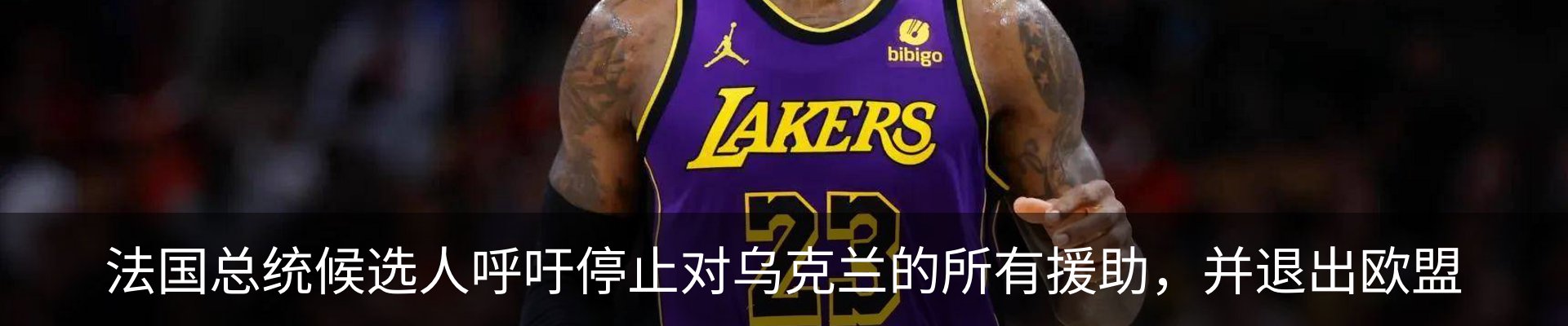 最新动态