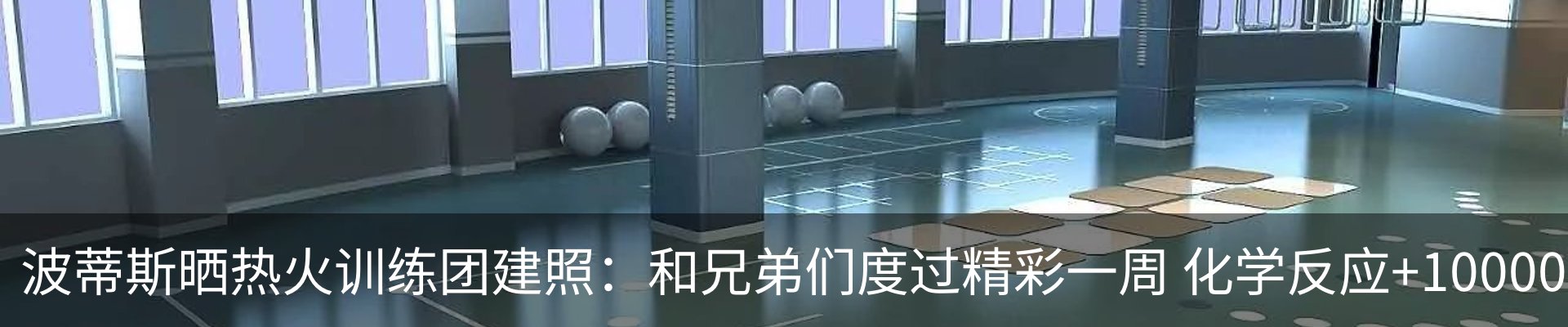 最新动态