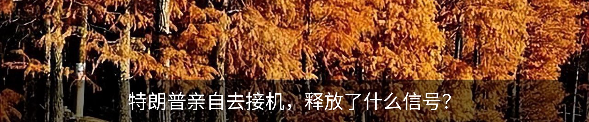 最新动态