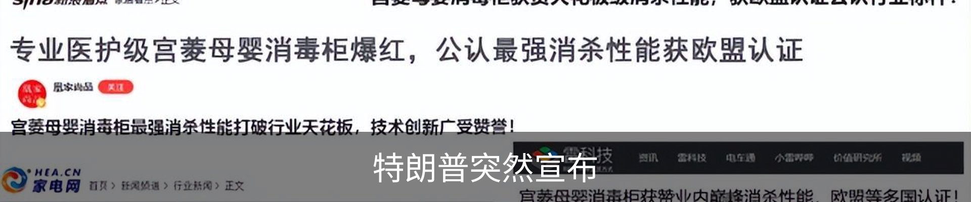 最新动态