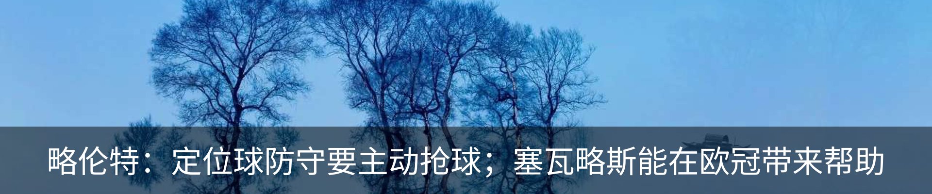 最新动态