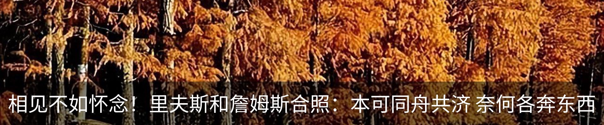 最新动态