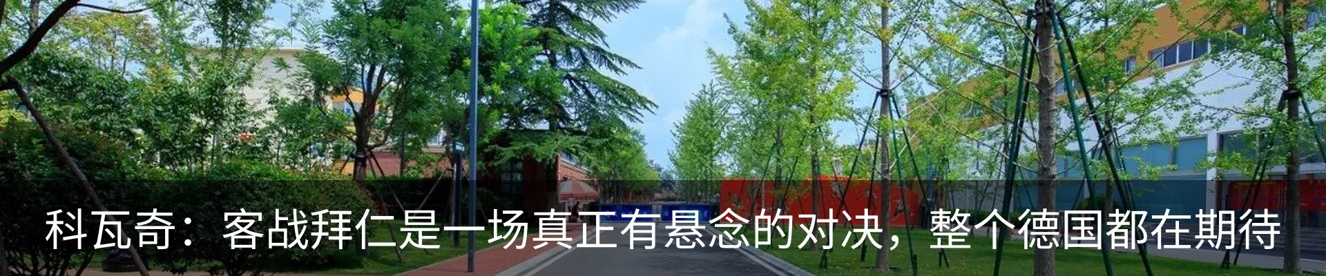 最新动态