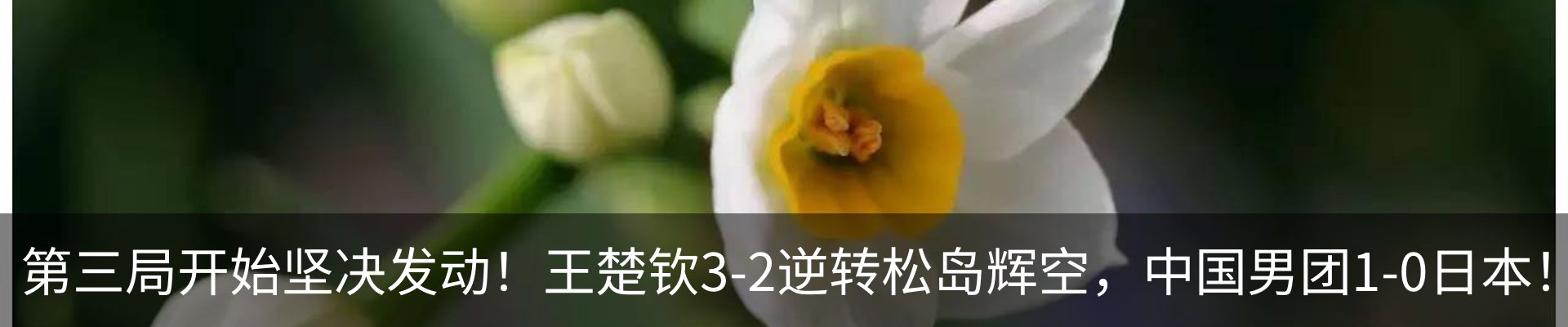最新动态
