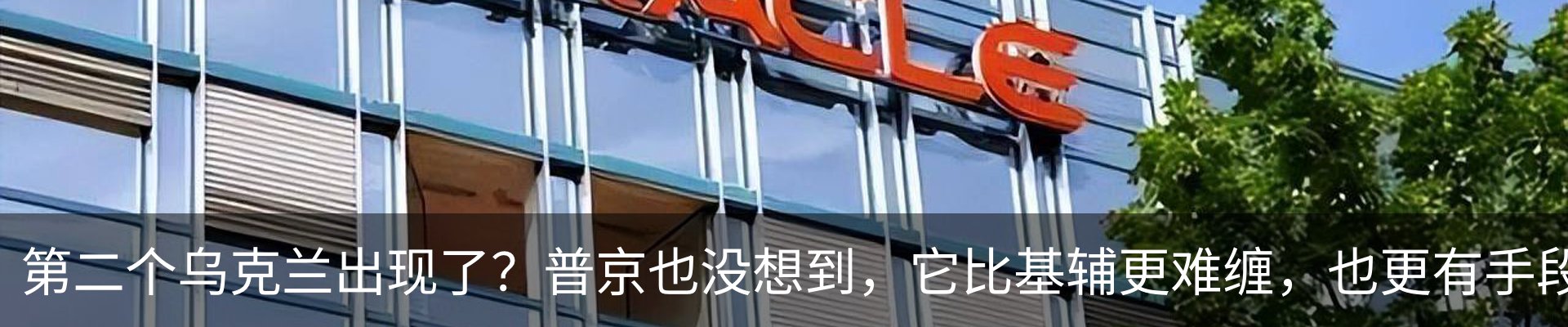 最新动态