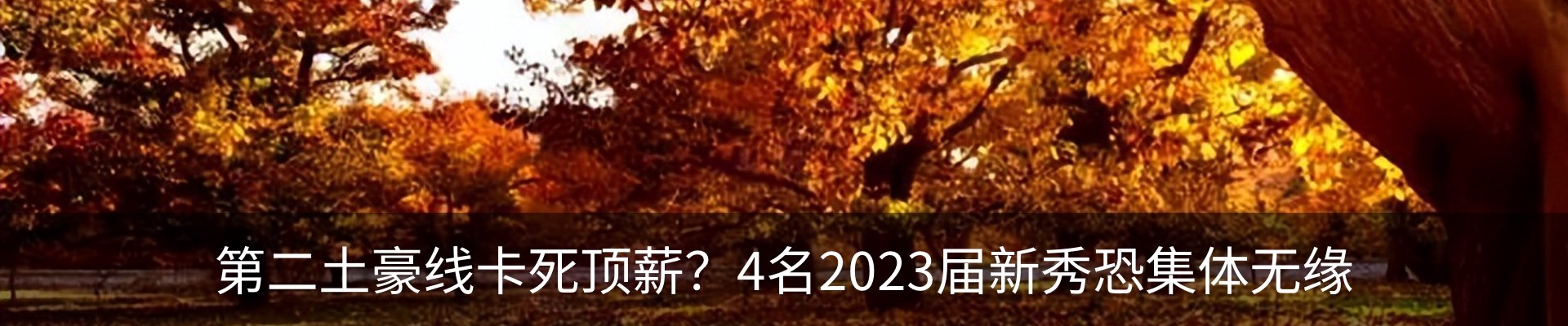 最新动态