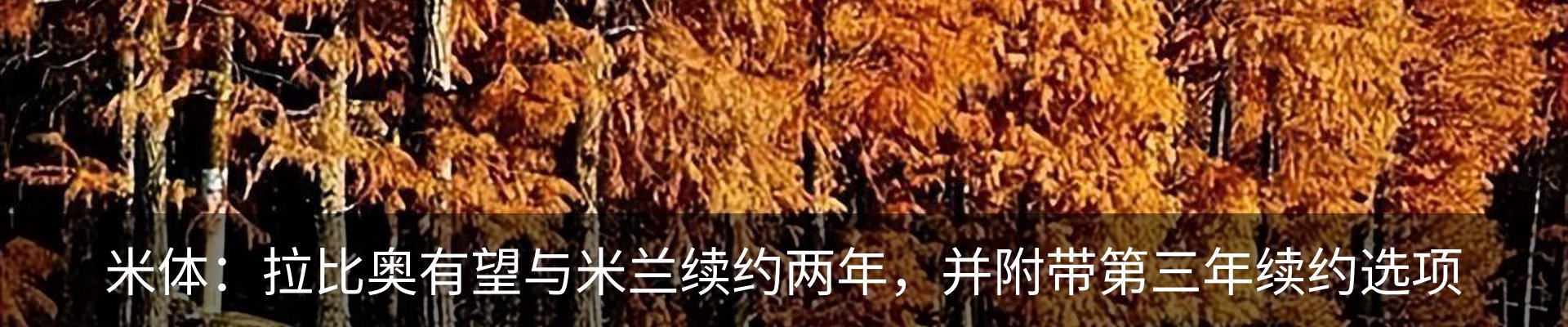 最新动态