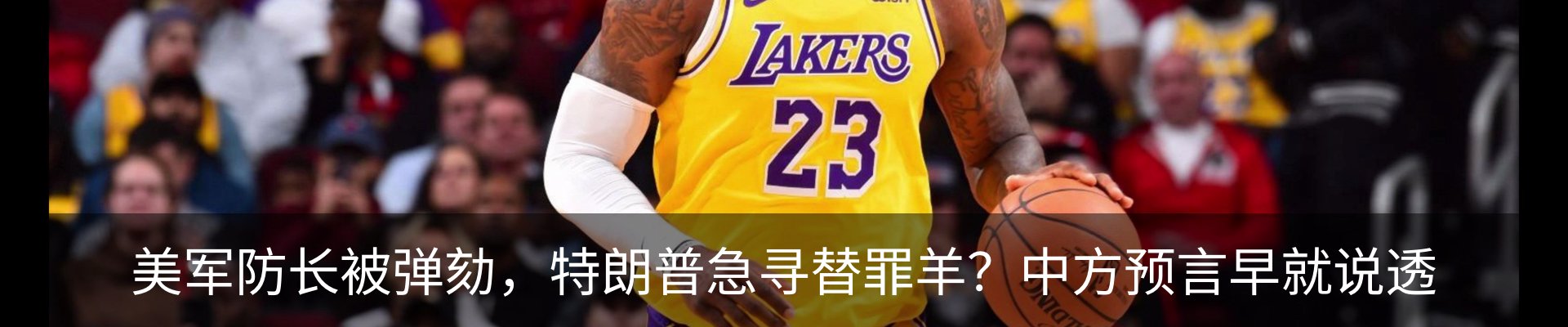最新动态