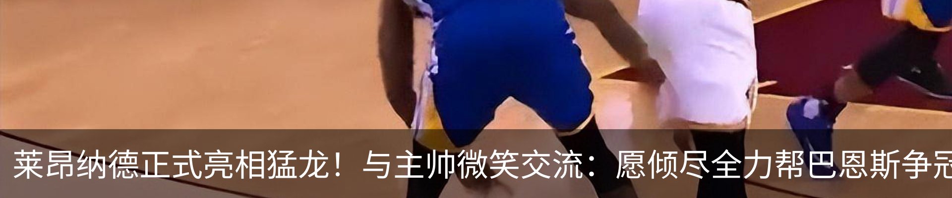 最新动态