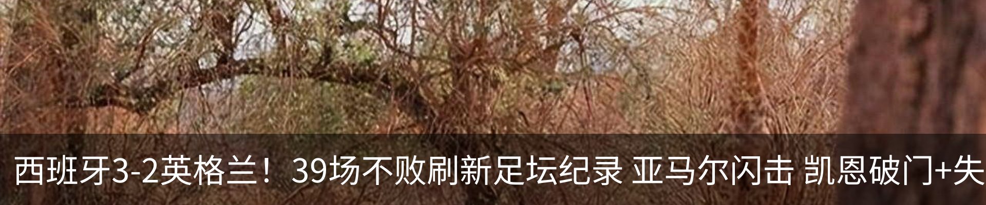 最新动态