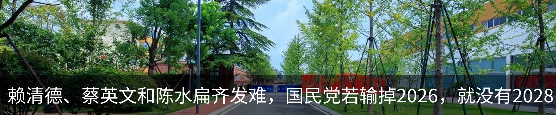 最新动态